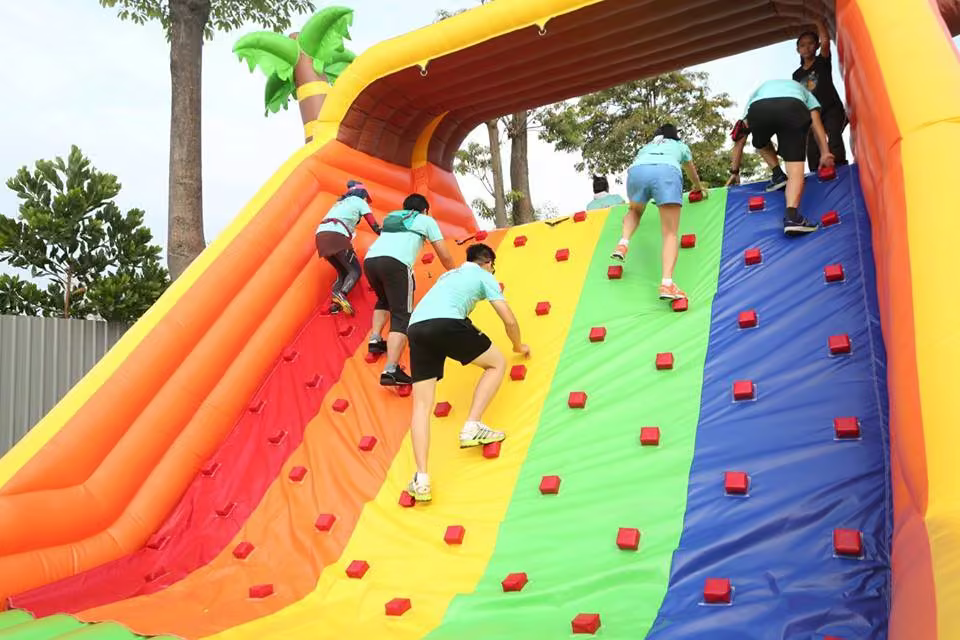 D-MONKEY CLIMBER